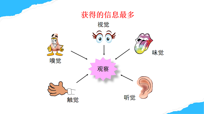【核心素养】人教版初中生物八年级上册4.6.1《人体对外界的感知》课件第8页