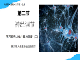 【核心素養(yǎng)】人教版初中生物八年級上冊4.6.2《神經(jīng)調節(jié)》課件＋課時練習＋教案（含教學反思）