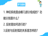 【核心素養(yǎng)】人教版初中生物八年級上冊4.6.2《神經(jīng)調節(jié)》課件＋課時練習＋教案（含教學反思）