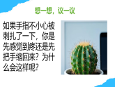 【核心素養(yǎng)】人教版初中生物八年級上冊4.6.2《神經(jīng)調節(jié)》課件＋課時練習＋教案（含教學反思）