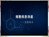 人教版 2019 高中生物必修1 第三章3.3《细胞核的结构和功能》PPT+教案