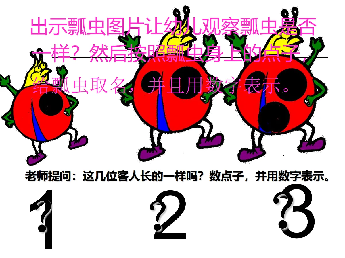 幼儿园小班数学课件（ppt）：帮瓢虫找家第3页