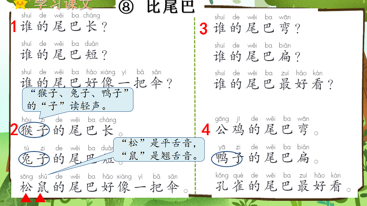 （教学课件）课文8 比尾巴第5页