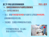 學(xué)前心理學(xué)00384 第三章 第二節(jié) 學(xué)前兒童注意發(fā)展的趨勢PPT課件