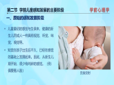 學前心理學00384 第四章 第二節(jié) 學前兒童感知發(fā)展的主要階段PPT課件