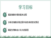 1.2.1細(xì)胞的分裂（教學(xué)課件）——初中生物學(xué)冀少版（2024）七年級上冊