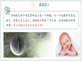 1.2.1細(xì)胞的分裂（教學(xué)課件）——初中生物學(xué)冀少版（2024）七年級上冊