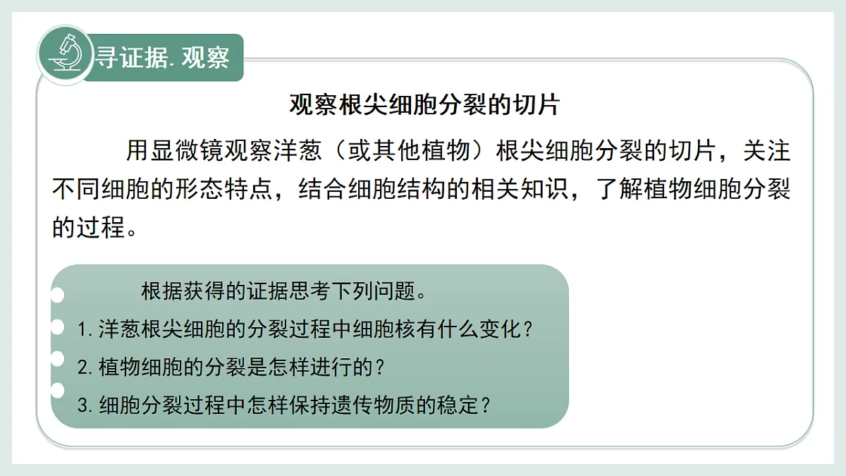 17067567第4页