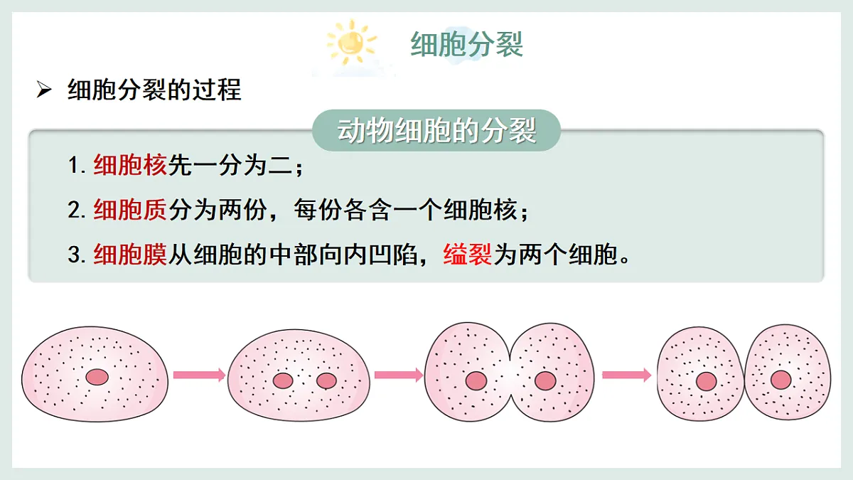 17067567第7页