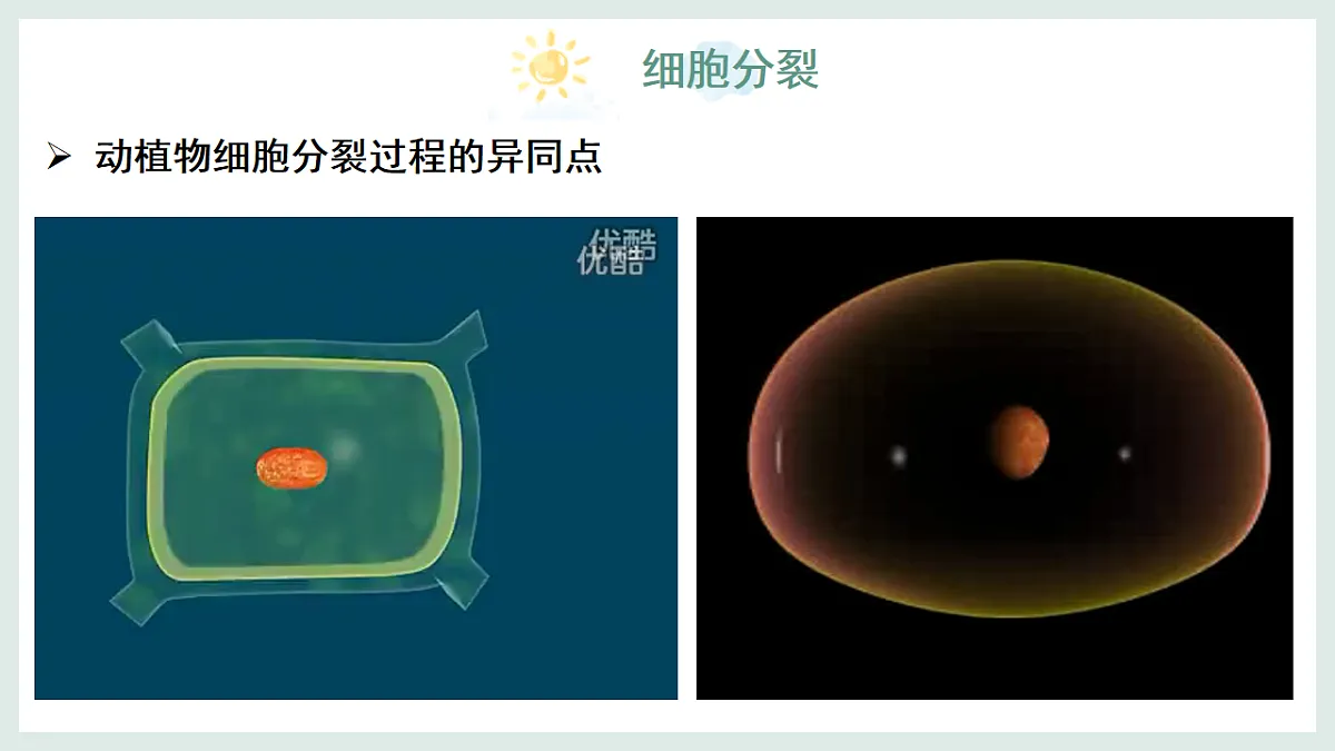 17067567第8页