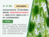 1.1.1 顯微鏡的使用（教學(xué)課件）-2025-2026學(xué)年七年級(jí)生物上冊(cè)（冀少版2024）
