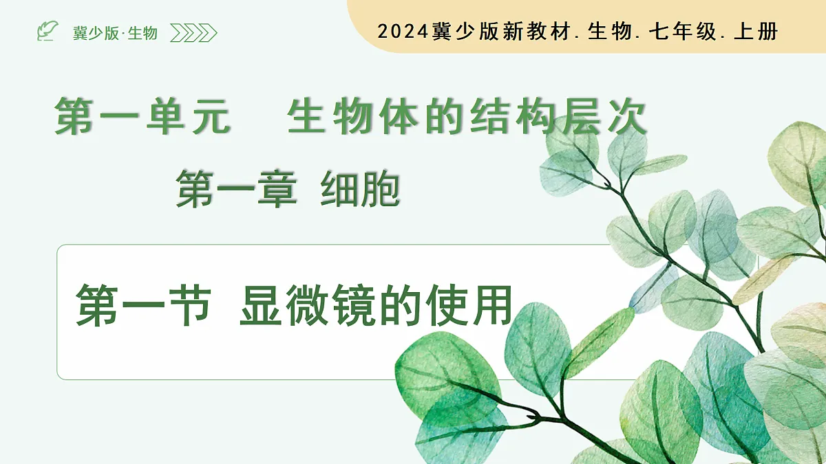 1.1.1 显微镜的使用（教学课件）-2025-2026学年七年级生物上册（冀少版2024）第3页