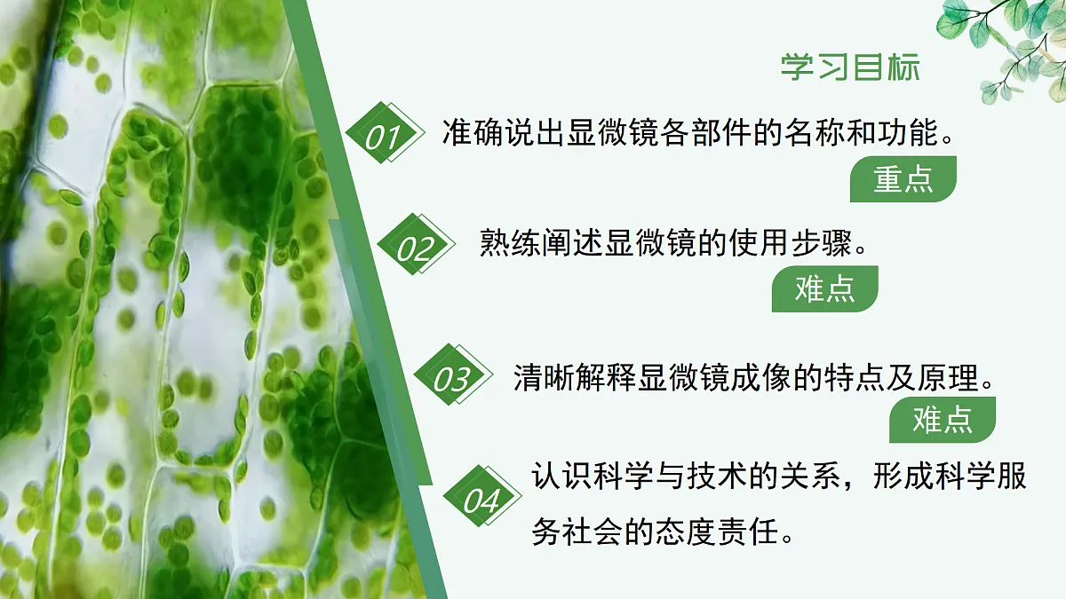 1.1.1 显微镜的使用（教学课件）-2025-2026学年七年级生物上册（冀少版2024）第4页