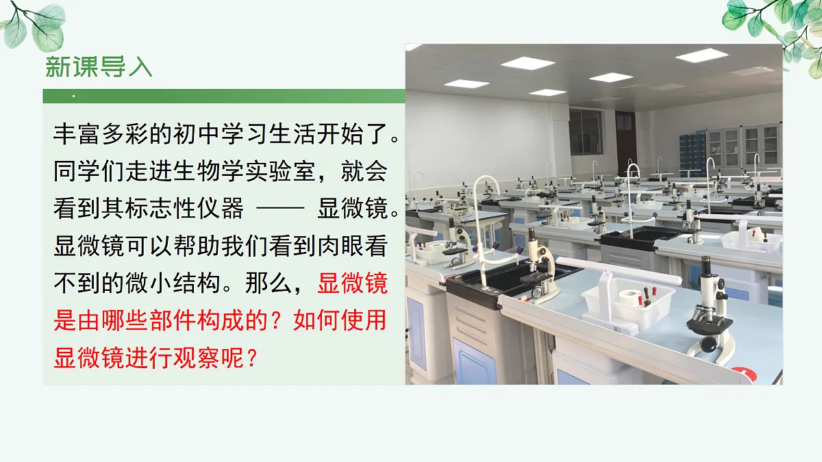 1.1.1 显微镜的使用（教学课件）-2025-2026学年七年级生物上册（冀少版2024）第6页