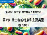 5.12.1 微生物的特點和主要類型 第2課時（教學(xué)課件）生物北師大版2024八年級上冊