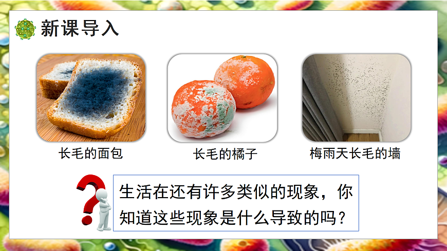 5.12.1 微生物的特点和主要类型 第2课时（教学课件）生物北师大版2024八年级上册第3页