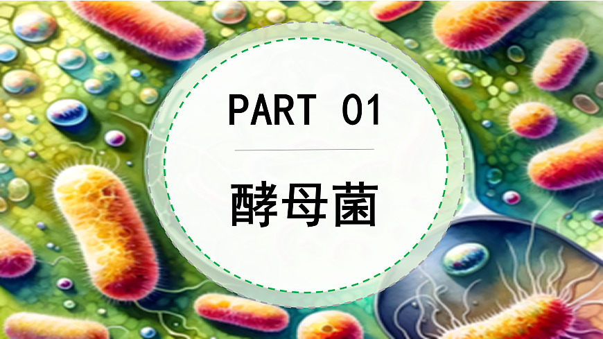 5.12.1 微生物的特点和主要类型 第2课时（教学课件）生物北师大版2024八年级上册第6页
