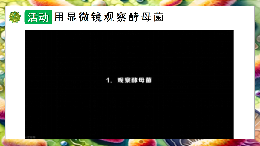 5.12.1 微生物的特点和主要类型 第2课时（教学课件）生物北师大版2024八年级上册第7页