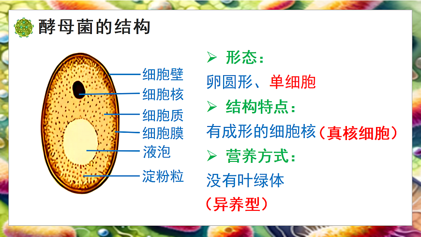 5.12.1 微生物的特点和主要类型 第2课时（教学课件）生物北师大版2024八年级上册第8页