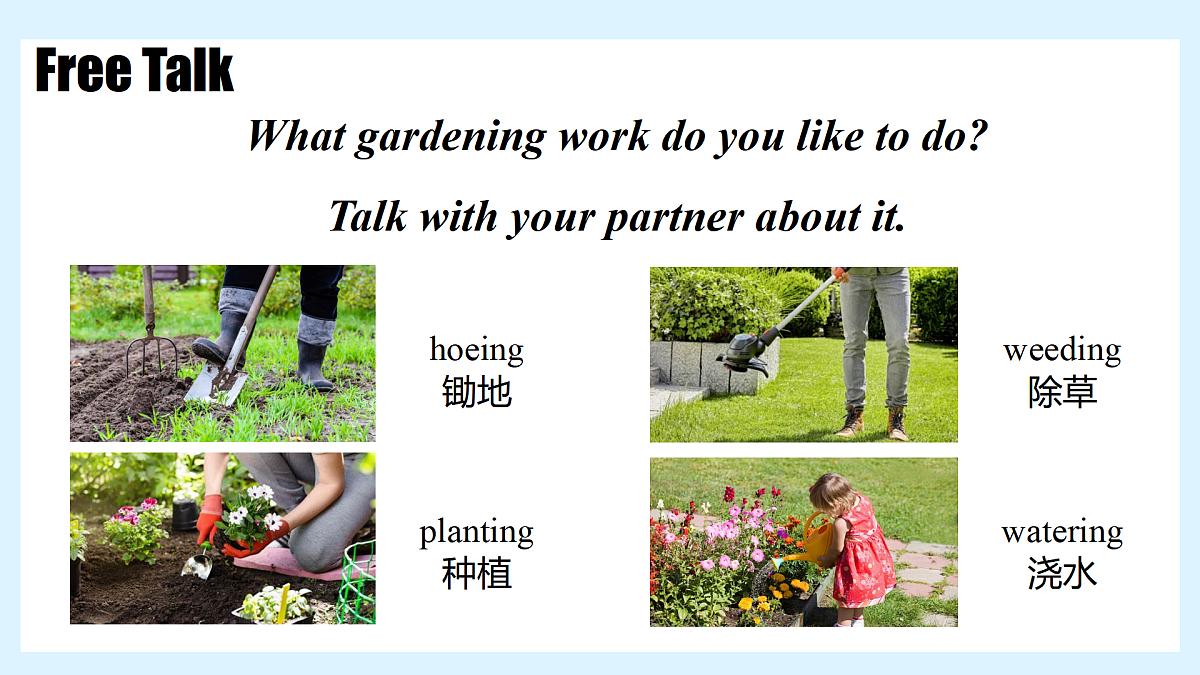 Unit 8 I love nature!  Lesson 2 Gardening with Mary—初中英语冀教版（2024）七年级下册（课件）第6页