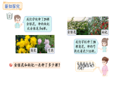 2.2 画直条解决两步计算问题(课件)2025-2026学年青岛版三年级数学上册