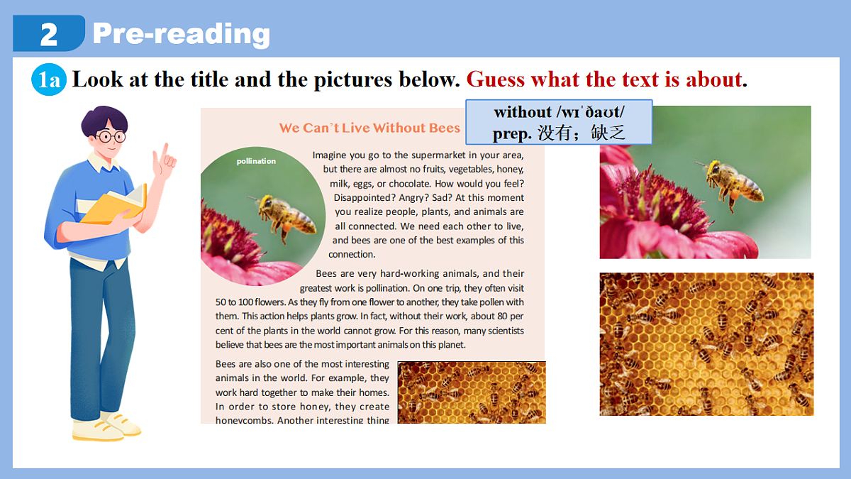 Unit 4 Amazing Plants and Animals Section B(1a-2d)-初中英语人教版（2024）八年级上册课件课件第6页