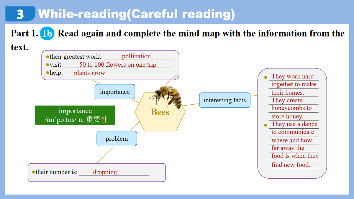 Unit 4 Amazing Plants and Animals Section B(1a-2d)-初中英语人教版（2024）八年级上册课件课件第8页