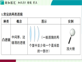 浙教科學(xué)2024八年級上冊 第1章 第5節(jié) 透鏡和視覺 PPT課件