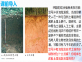 人教版 2019 高中地理必修一5.2 土壤課件 PPT課件 PPT