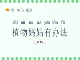 【新課標】統(tǒng)編版（2024）語文二年級上冊  第一單元《植物媽媽有辦法》新課件（第1課時）（含視頻）+教案+字體0