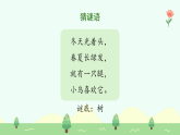 【新課標】統(tǒng)編版（2024）語文二年級上冊  第二單元《樹之歌》課件（第1課時）（含視頻）+教案+字體0