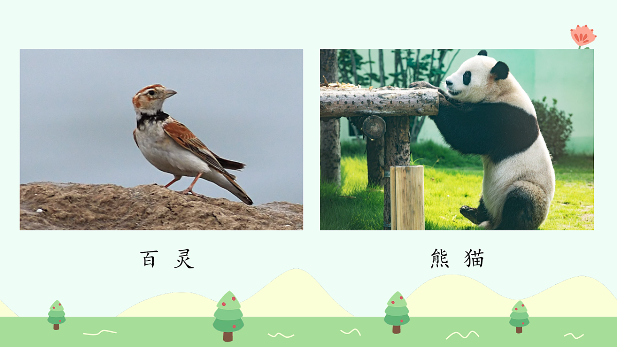 拍手歌（第1课时）第7页