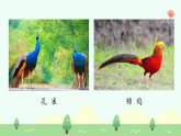 【新課標(biāo)】統(tǒng)編版（2024）語文二年級上冊  第二單元《拍手歌》課件（第1課時(shí)）（含視頻、音頻）+教案+字體