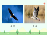 【新課標(biāo)】統(tǒng)編版（2024）語文二年級上冊  第二單元《拍手歌》課件（第1課時(shí)）（含視頻、音頻）+教案+字體