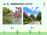 【新課標(biāo)】統(tǒng)編版（2024）語文二年級上冊  第二單元《田家四季歌》課件（第1課時(shí)）（含視頻）+教案+字體