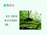 【新課標】統(tǒng)編版（2024）語文二年級上冊  第三單元《語文園地三》課件（第2課時）+教案+字體0