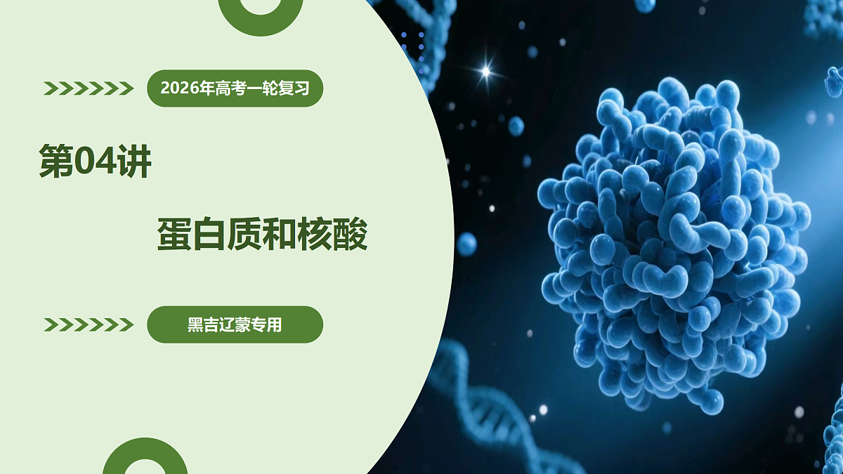 第04讲 蛋白质和核酸（复习课件）（黑吉辽蒙专用）-2026届高考生物一轮复习第1页