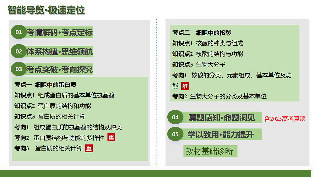 第04讲 蛋白质和核酸（复习课件）（黑吉辽蒙专用）-2026届高考生物一轮复习第2页