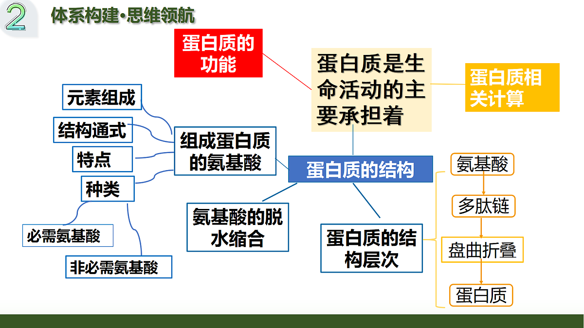第04讲 蛋白质和核酸（复习课件）（黑吉辽蒙专用）-2026届高考生物一轮复习第4页