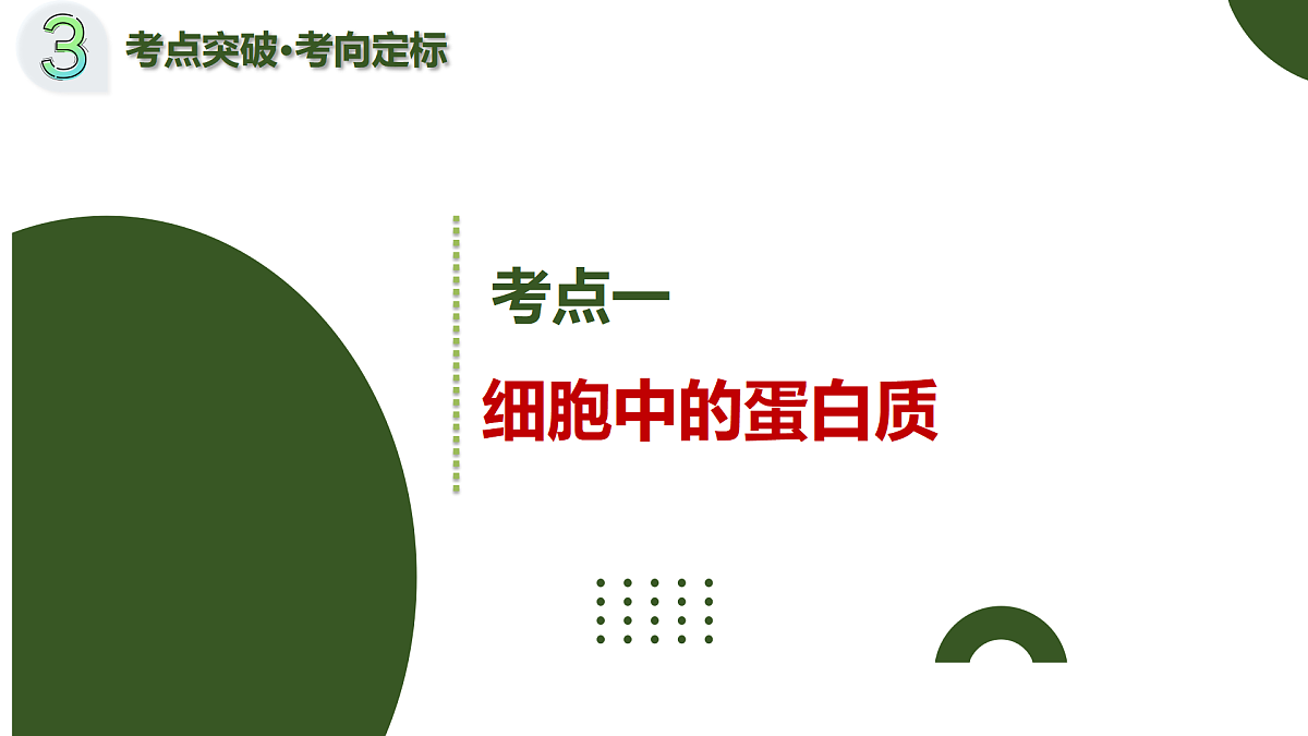 第04讲 蛋白质和核酸（复习课件）（黑吉辽蒙专用）-2026届高考生物一轮复习第6页