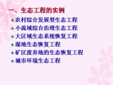 人教版 (新課標)高中生物選修3 5.2《生態(tài)工程的實例和發(fā)展前景》課件