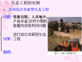 人教版 (新課標)高中生物選修3 5.2《生態(tài)工程的實例和發(fā)展前景》課件