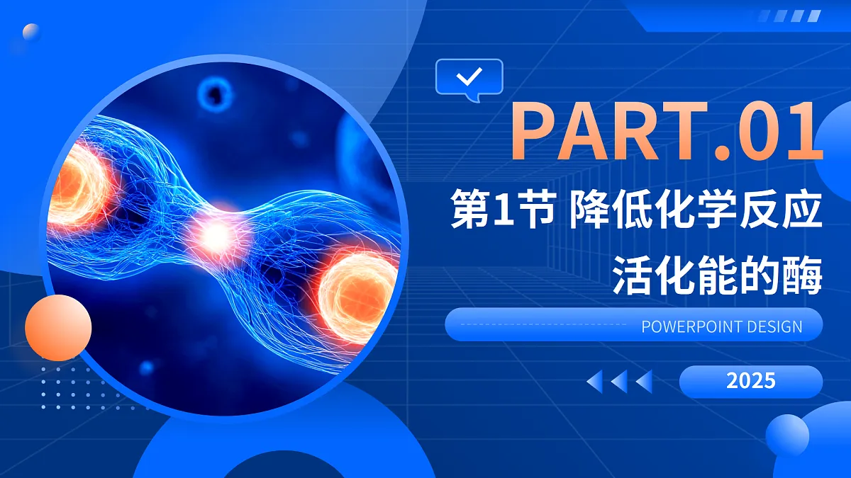 第5章 细胞的能量供应和利用-2025-2026学年高一生物上学期核心知识概括课件（人教版2019必修1）第3页