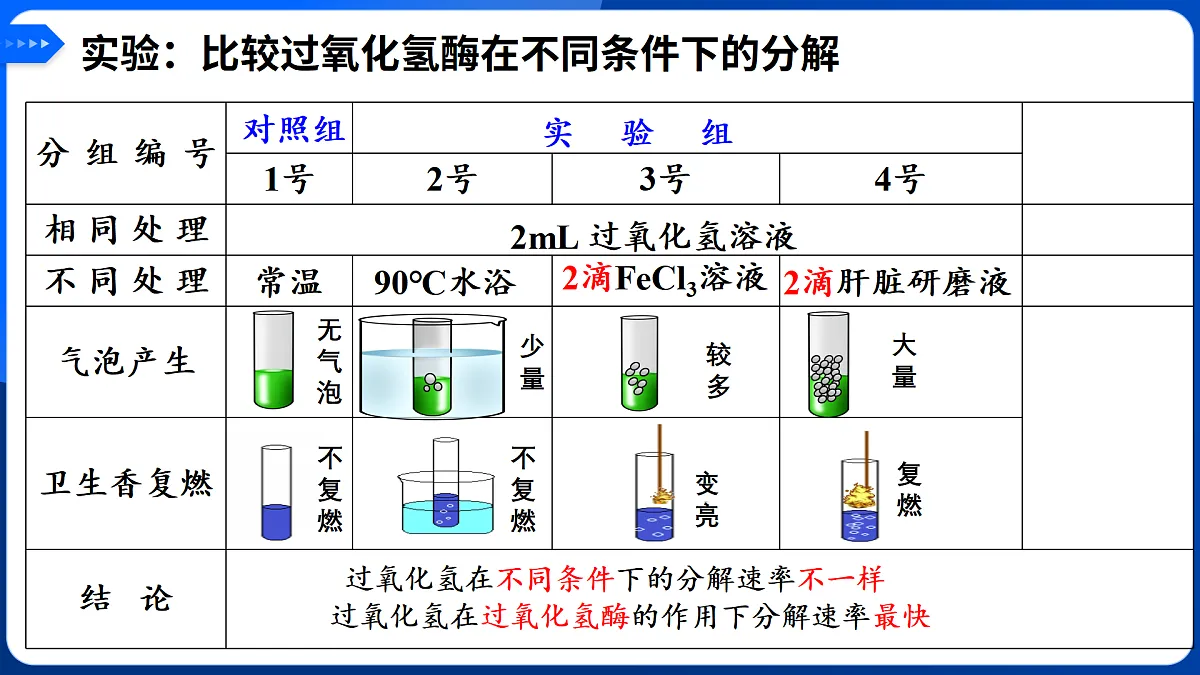 第5章 细胞的能量供应和利用-2025-2026学年高一生物上学期核心知识概括课件（人教版2019必修1）第5页