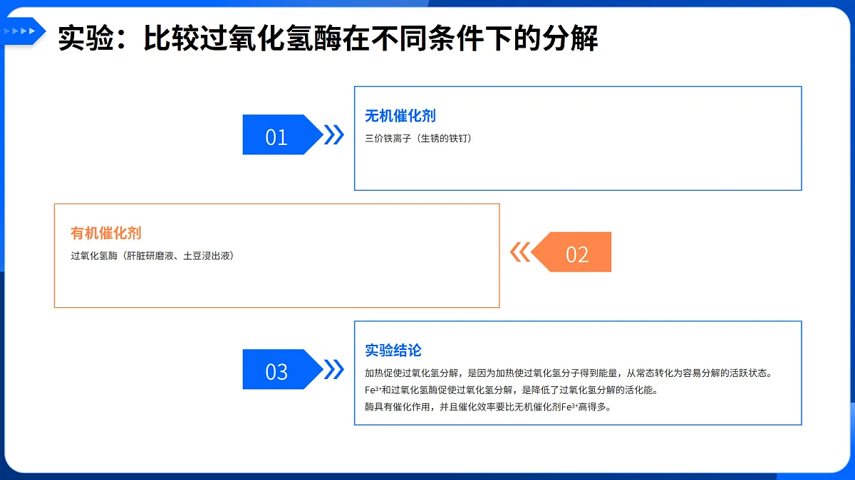 第5章 细胞的能量供应和利用-2025-2026学年高一生物上学期核心知识概括课件（人教版2019必修1）第6页