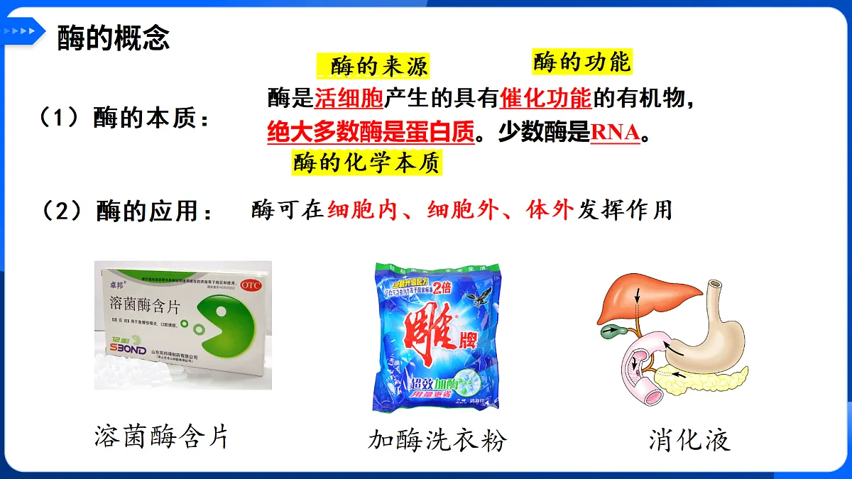 第5章 细胞的能量供应和利用-2025-2026学年高一生物上学期核心知识概括课件（人教版2019必修1）第7页