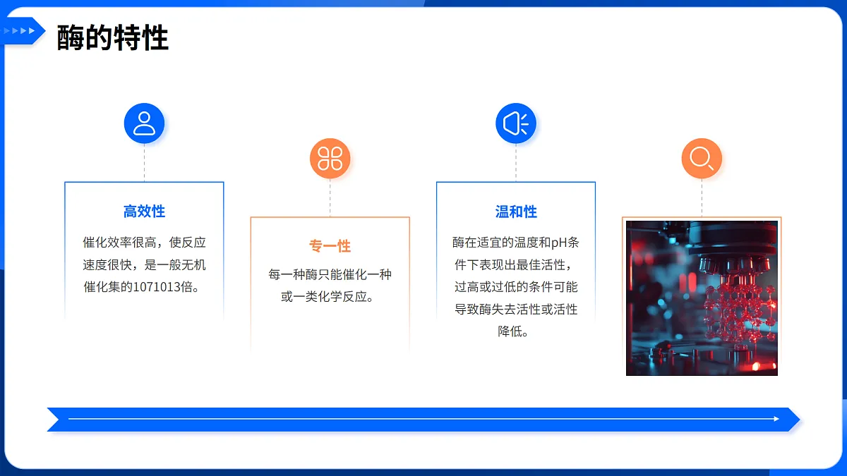 第5章 细胞的能量供应和利用-2025-2026学年高一生物上学期核心知识概括课件（人教版2019必修1）第8页