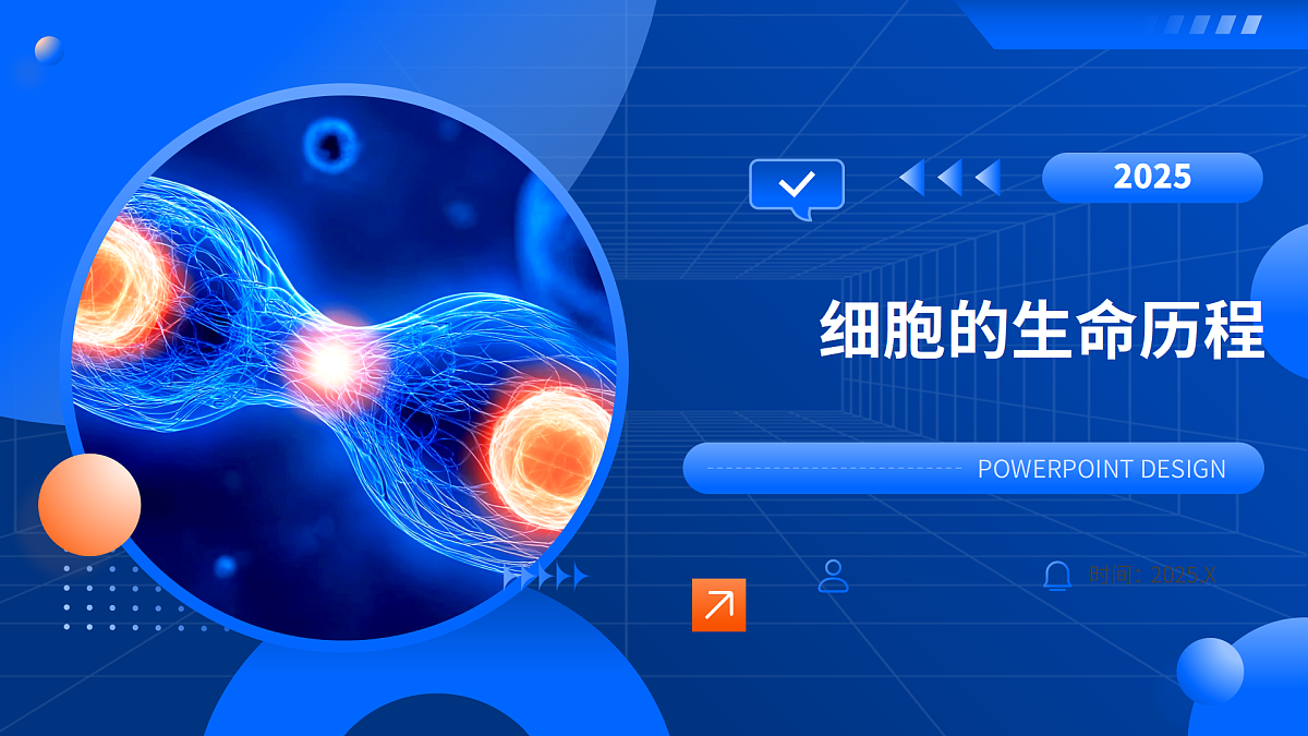 第6章 细胞的生命历程-2025-2026学年高一生物上学期核心知识概括课件（人教版2019必修1）第1页