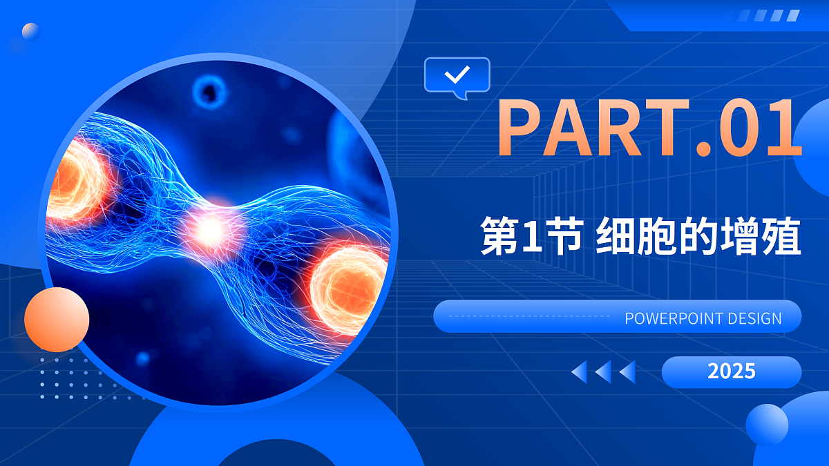 第6章 细胞的生命历程-2025-2026学年高一生物上学期核心知识概括课件（人教版2019必修1）第3页