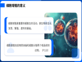 第6章 细胞的生命历程-2025-2026学年高一生物上学期核心知识概括课件（人教版2019必修1）
